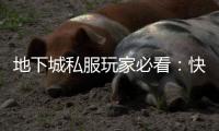 地下城私服玩家必看：快速升级攻略大公开！