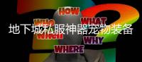 地下城私服神器宠物装备获取指南