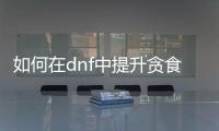 如何在dnf中提升贪食之力