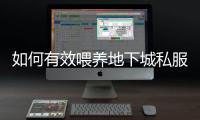 如何有效喂养地下城私服共鸣装备