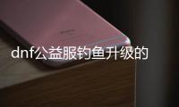 dnf公益服钓鱼升级的实用技巧与步骤