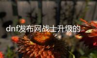 dnf发布网战士升级的终极指南